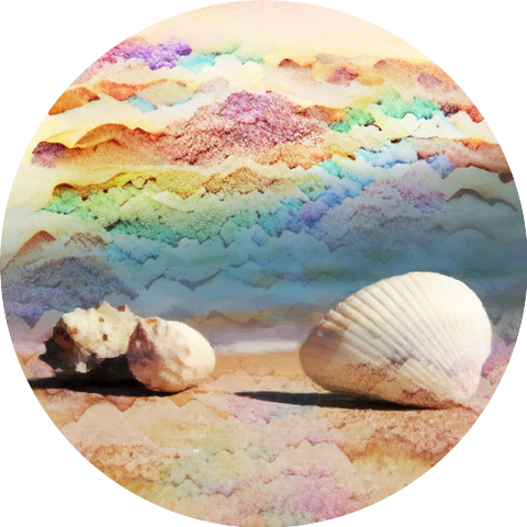 ok seashells