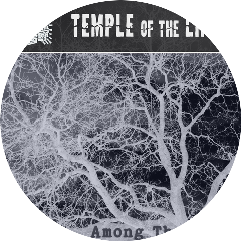 TEMPLE of the LINT