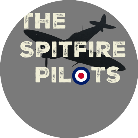 The Spitfire Pilots