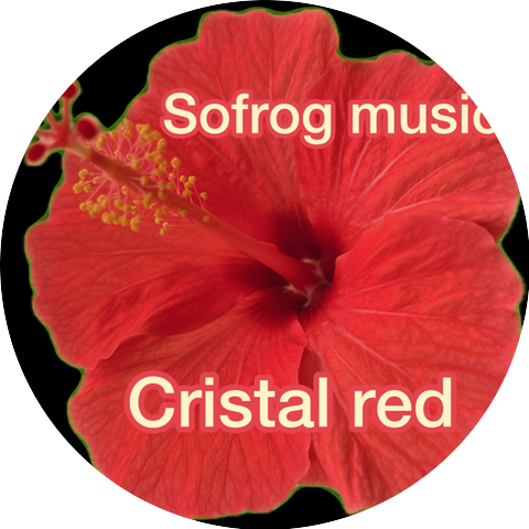 SOFROG