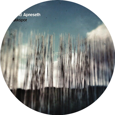 Erlend Apneseth