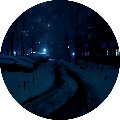 Shadows in The Night