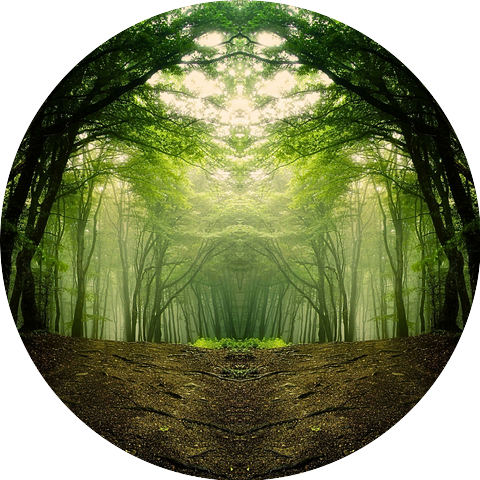 Dolbypluie, Bruits zen de la nature