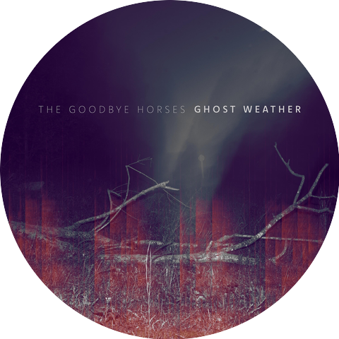 The Goodbye Horses