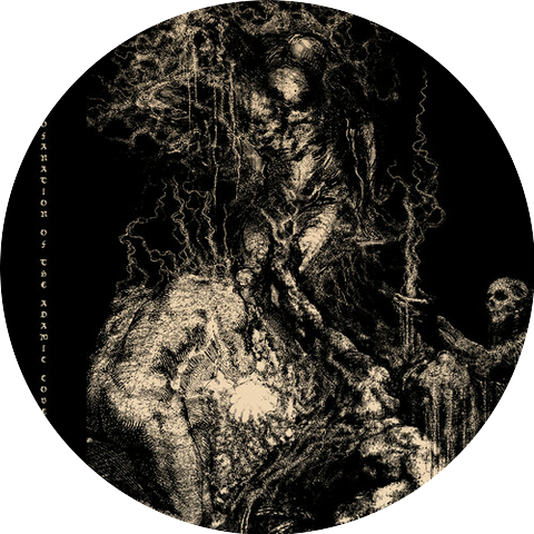 Ritual Ascension