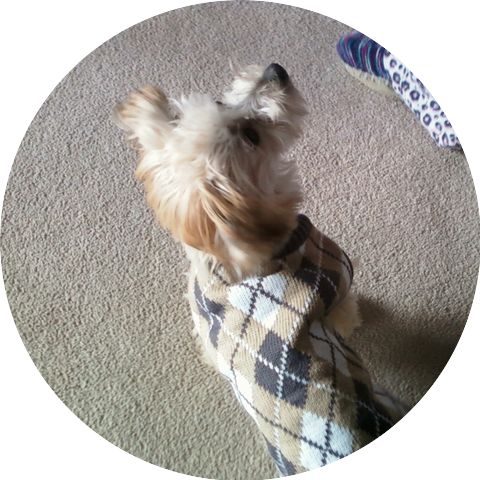 ONE FIFTY AND THE GANG