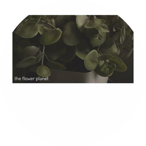 The Flower Planet