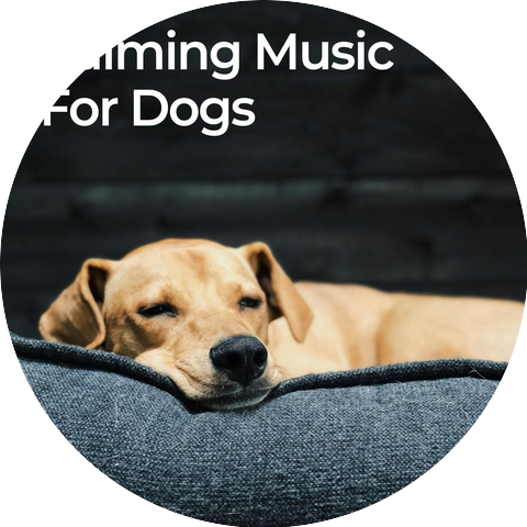 Pet Therapy Specialist, Calm Dog Music, Relax My Dog Music
