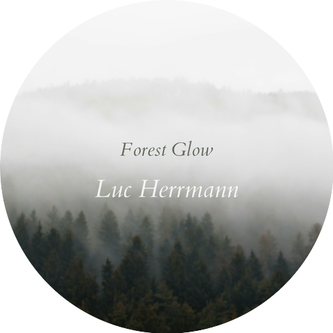 Luc Herrmann