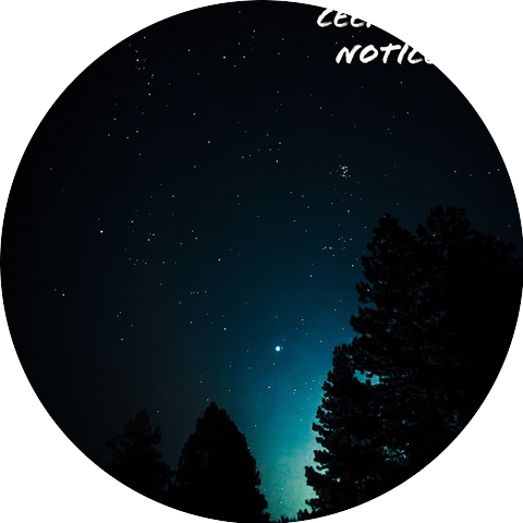 Cee.Z