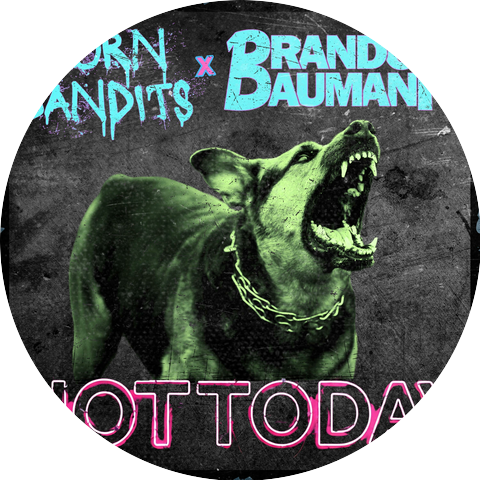 Born Bandits x Brandon Baumann