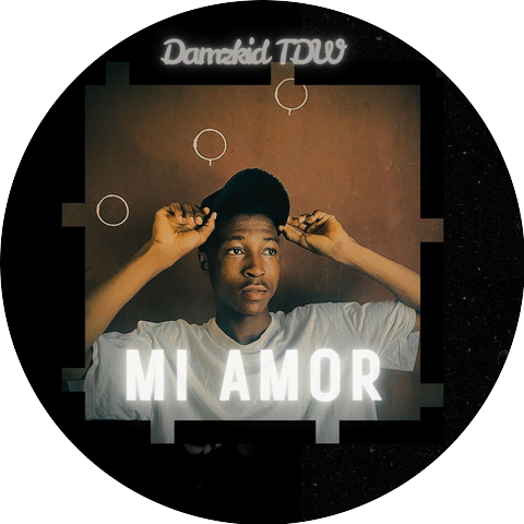 Damzkid TDW