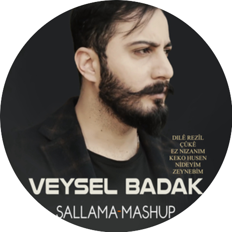 Veysel Badak
