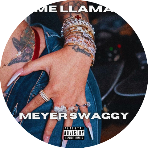 Meyer Swaggy