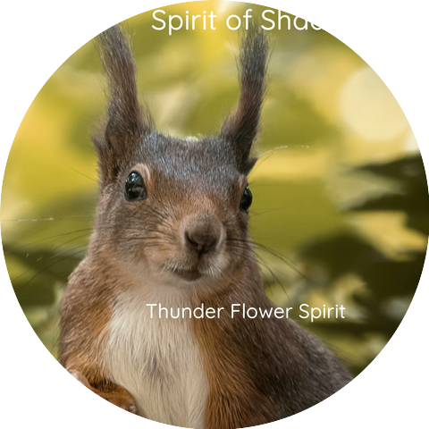 Spirit of Shadowtail