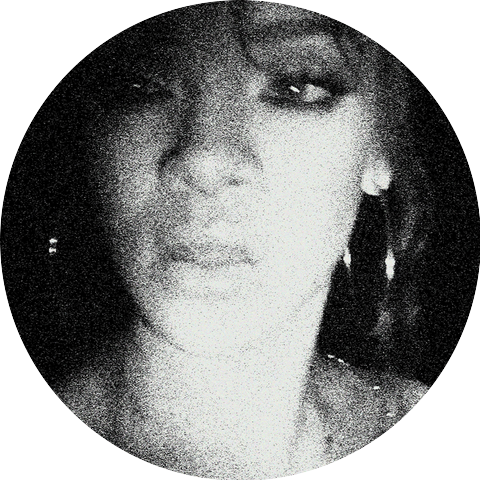 Tehsto, The Grey Dog