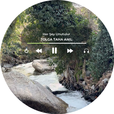 Tolga Taha Anıl
