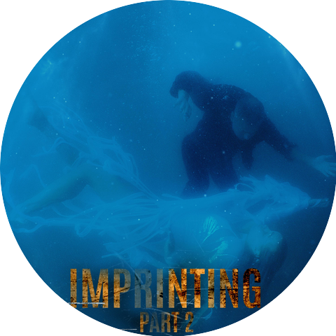 Eleonora Giudizi-Tamara Selim-Vanessa Elly-Susan Hamed