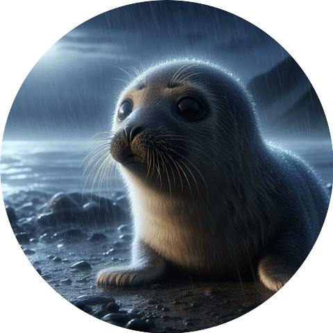 rain seal