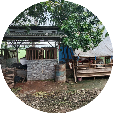 Samiji