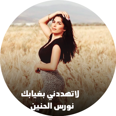 نورس الحنين