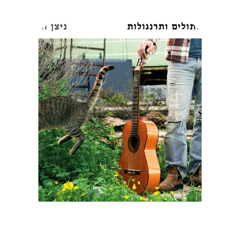 ניצן חן