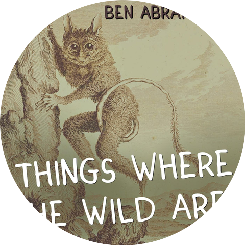 Ben Abrahamson