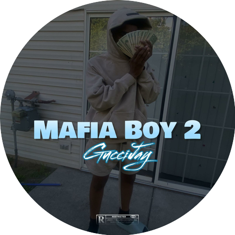 313jigg