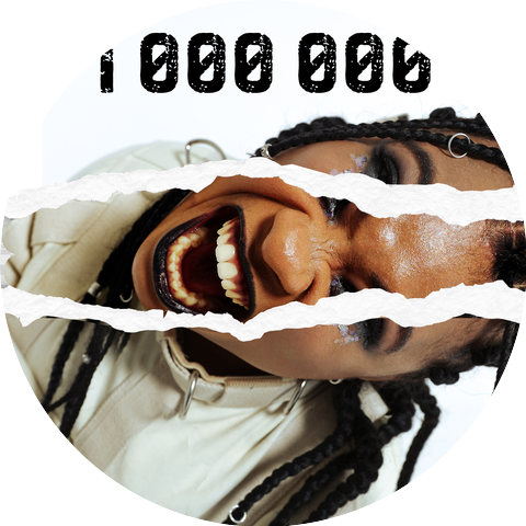 Roxana Kollinz, Employy