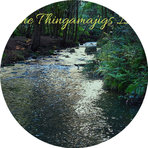 The Thingamajigs