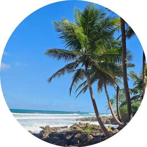 Advocates For Awesome