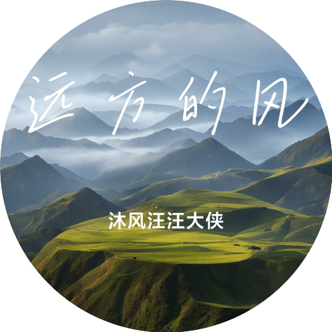 沐风汪汪大侠【唐永春】