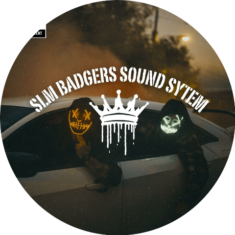 SLM Badgers Sound System