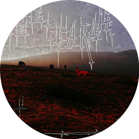 cygnzz, Onizz_, fumiko.