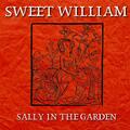 Sweet William