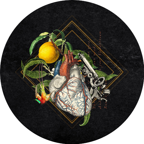 Go Bury Your Monsters