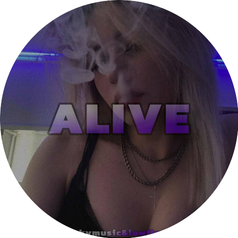 skymusic, lowfizz, RONVXER, vioLENchange
