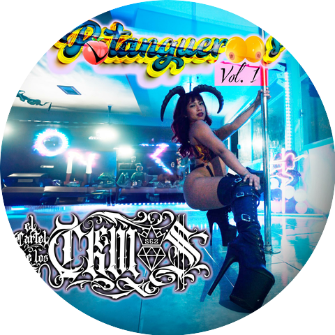 El Cartel de los Chemas 562