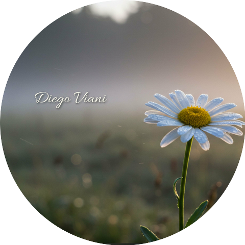 Diego Viani