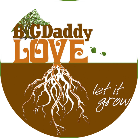 Big Daddy Love