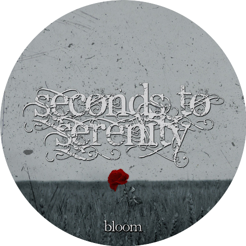 Seconds To Serenity