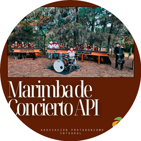 Marimba de concierto Api