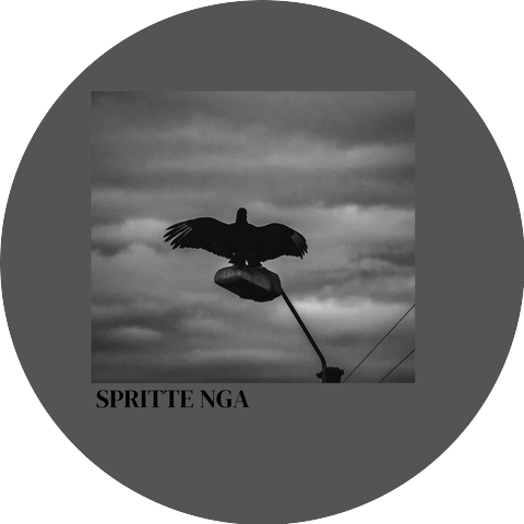 SPRITTE NGA