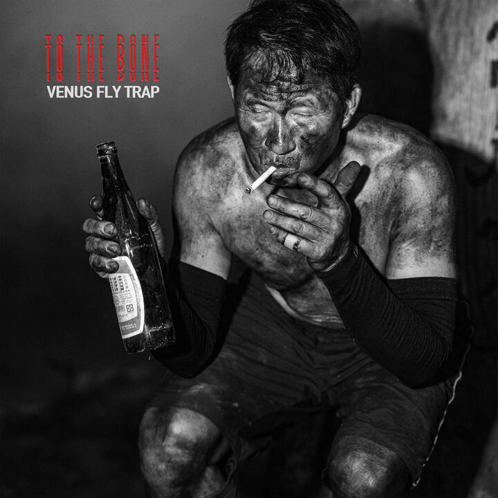 Venus Fly Trap