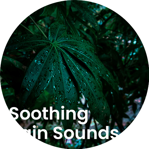 Wind and Rain Sounds, Rain Sounds ACE, Falling Rain Sounds