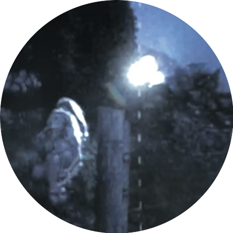 angel__egg