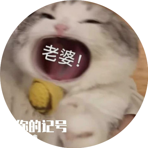 少年阿鑫