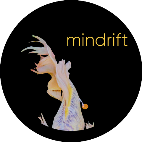 mindrift