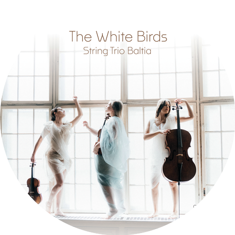 String Trio Baltia