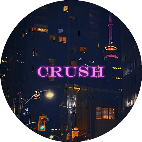 LifeWithoutExtras x Sillvz